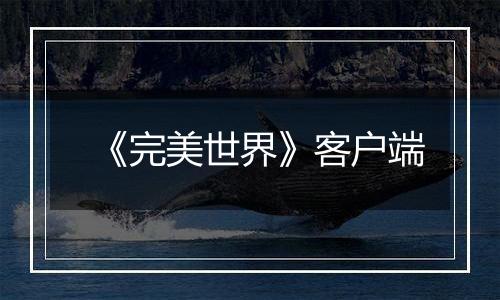 《完美世界》客户端