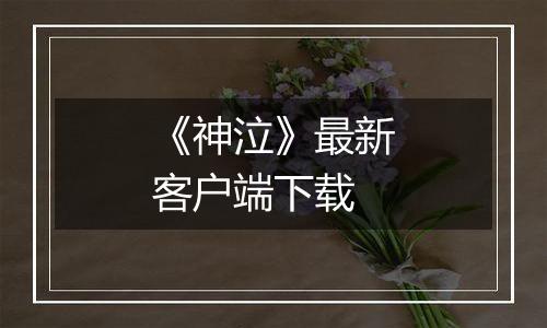 《神泣》最新客户端下载