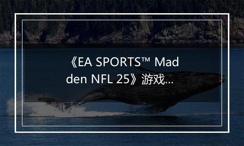 《EA SPORTS™ Madden NFL 25》游戏库