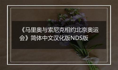 《马里奥与索尼克相约北京奥运会》简体中文汉化版NDS版
