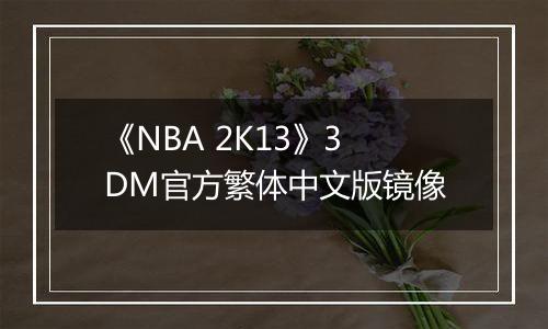 《NBA 2K13》3DM官方繁体中文版镜像