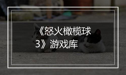 《怒火橄榄球3》游戏库
