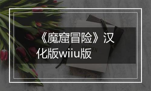 《魔窟冒险》汉化版wiiu版