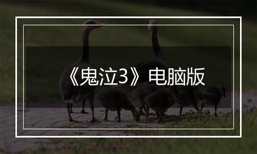《鬼泣3》电脑版