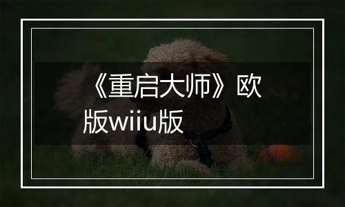 《重启大师》欧版wiiu版
