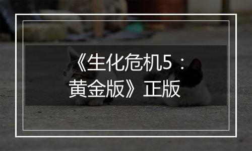 《生化危机5：黄金版》正版