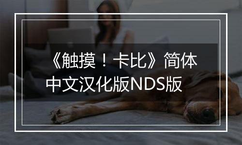 《触摸！卡比》简体中文汉化版NDS版