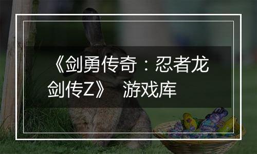 《剑勇传奇：忍者龙剑传Z》  游戏库