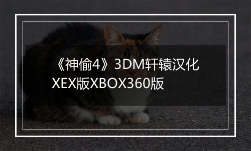 《神偷4》3DM轩辕汉化XEX版XBOX360版