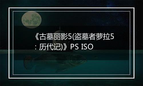 《古墓丽影5(盗墓者萝拉5：历代记)》PS ISO