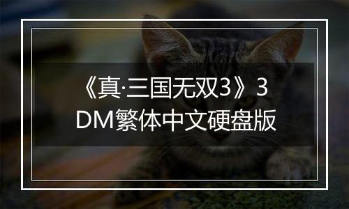 《真·三国无双3》3DM繁体中文硬盘版
