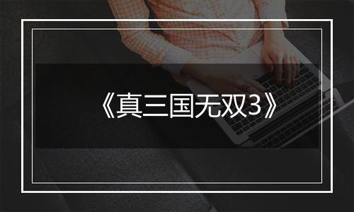 《真三国无双3》
