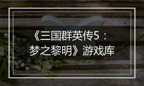 《三国群英传5：梦之黎明》游戏库