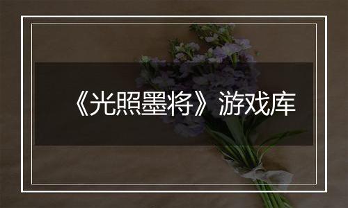 《光照墨将》游戏库