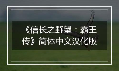 《信长之野望：霸王传》简体中文汉化版