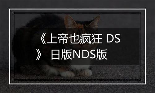 《上帝也疯狂 DS》 日版NDS版