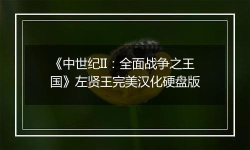 《中世纪II：全面战争之王国》左贤王完美汉化硬盘版