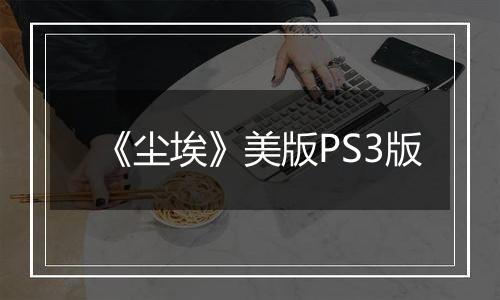 《尘埃》美版PS3版
