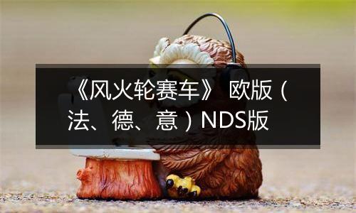 《风火轮赛车》 欧版（法、德、意）NDS版