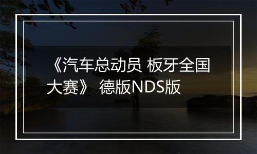 《汽车总动员 板牙全国大赛》 德版NDS版