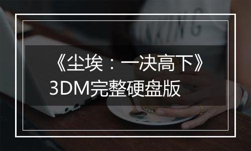 《尘埃：一决高下》3DM完整硬盘版