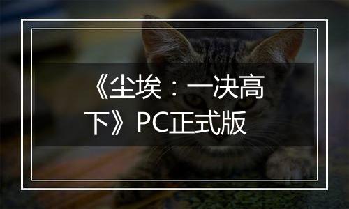 《尘埃：一决高下》PC正式版