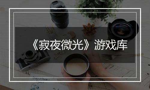 《寂夜微光》游戏库