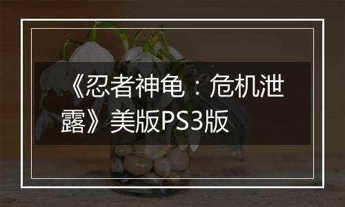《忍者神龟：危机泄露》美版PS3版