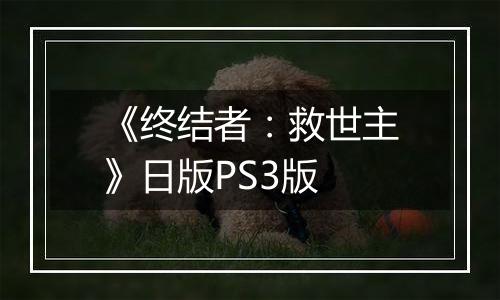 《终结者：救世主》日版PS3版