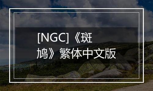 [NGC]《斑鸠》繁体中文版