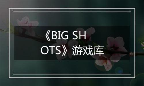 《BIG SHOTS》游戏库