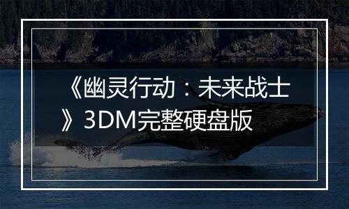 《幽灵行动：未来战士》3DM完整硬盘版