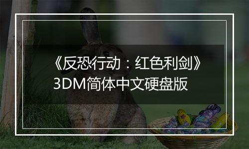 《反恐行动：红色利剑》 3DM简体中文硬盘版