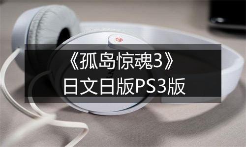 《孤岛惊魂3》 日文日版PS3版