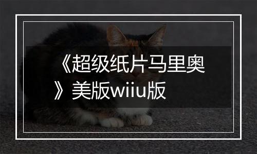 《超级纸片马里奥》美版wiiu版