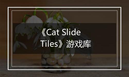 《Cat Slide Tiles》游戏库