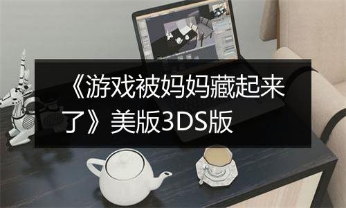 《游戏被妈妈藏起来了》美版3DS版