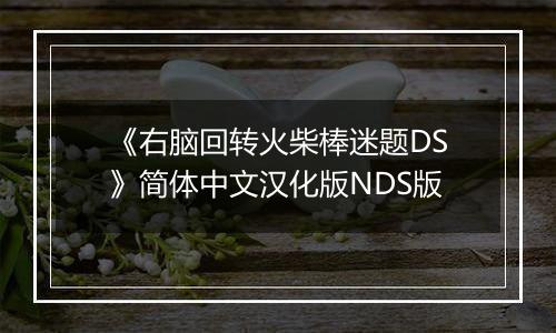 《右脑回转火柴棒迷题DS》简体中文汉化版NDS版