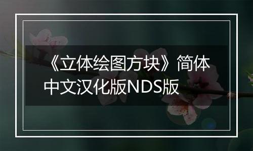《立体绘图方块》简体中文汉化版NDS版