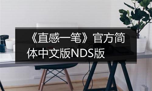 《直感一笔》官方简体中文版NDS版