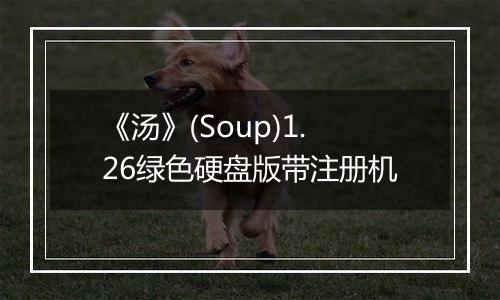 《汤》(Soup)1.26绿色硬盘版带注册机
