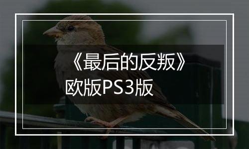 《最后的反叛》欧版PS3版
