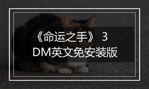 《命运之手》 3DM英文免安装版