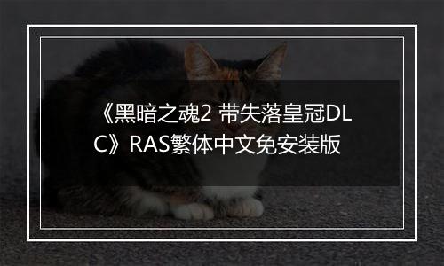 《黑暗之魂2 带失落皇冠DLC》RAS繁体中文免安装版