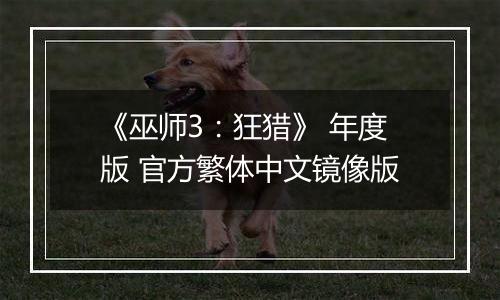 《巫师3：狂猎》 年度版 官方繁体中文镜像版