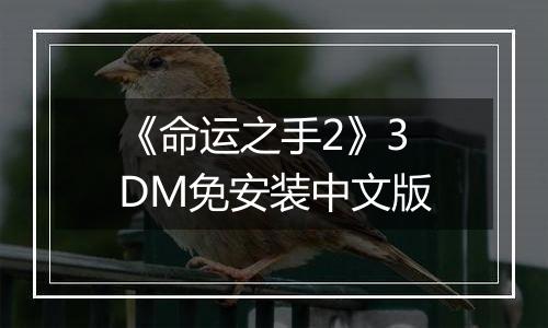 《命运之手2》3DM免安装中文版