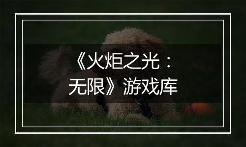《火炬之光：无限》游戏库