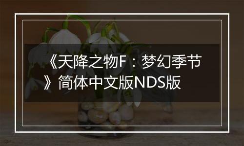《天降之物F：梦幻季节》简体中文版NDS版