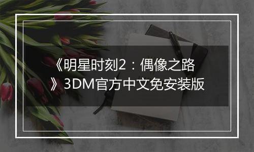 《明星时刻2：偶像之路 》3DM官方中文免安装版