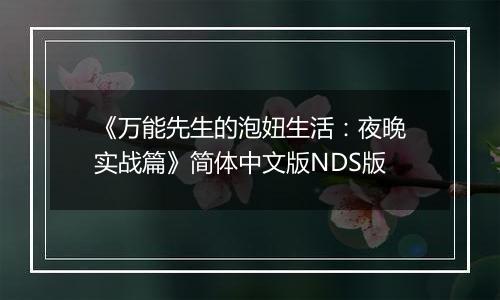 《万能先生的泡妞生活：夜晚实战篇》简体中文版NDS版